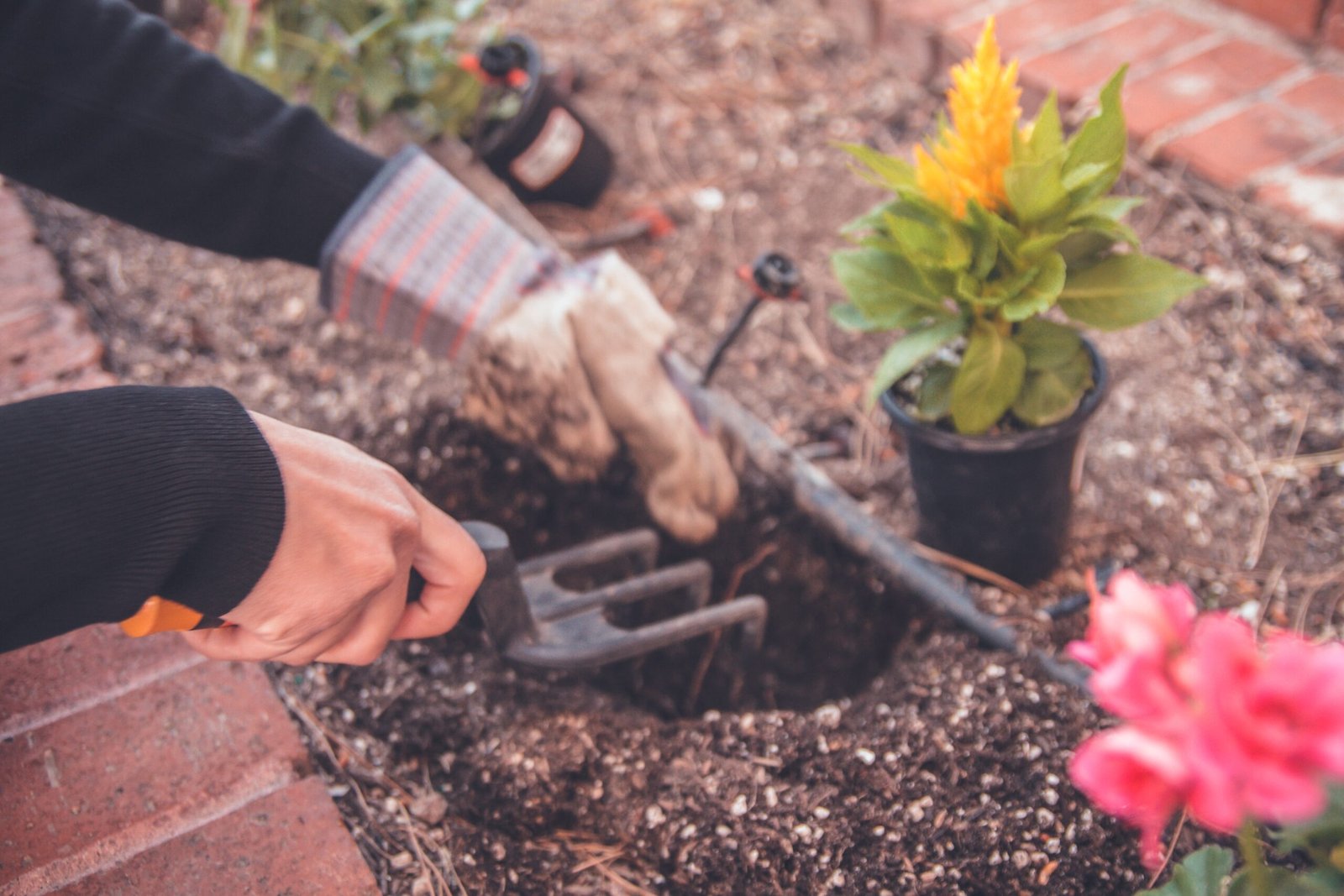 Cari Tahu Manfaat Berkebun yang Menyehatkan!