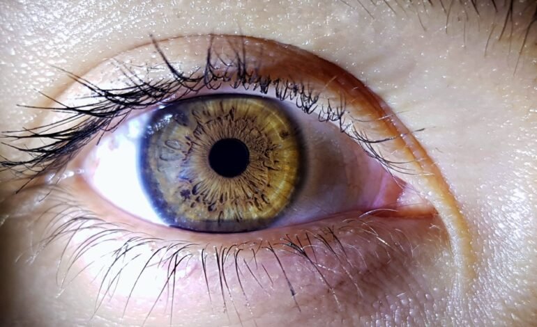 human-s-deep-eye (1)