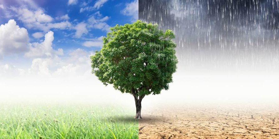 Menghadapi Perubahan Cuaca dalam Rutinitas Kebugaran Anda