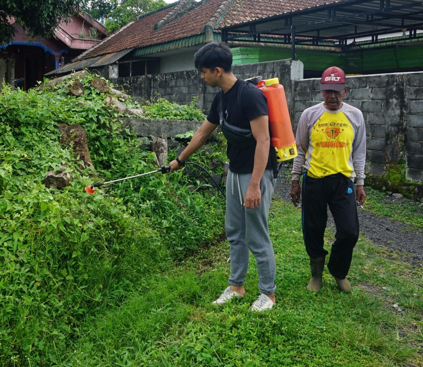 PMM UMM Kelompok 105 Membantu Penyemprotan Tanaman Liar Serta Bersih Bersih Lingkungan Sekitar RT 01 Desa Tlogosari.