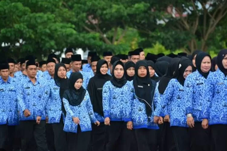 Kenaikan Gaji Guru 2025 : Misunderstanding dan Ketidakpastian Skema PPPK Paruh Waktu