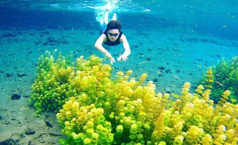 Healing Anti Gerah! 6 Wisata Sumber Air di Malang Ini Ramai Diburu Wisatawan