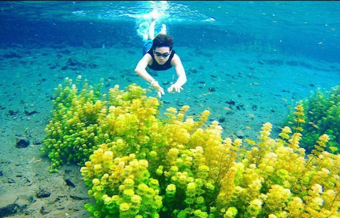 Healing Anti Gerah! 6 Wisata Sumber Air di Malang Ini Ramai Diburu Wisatawan